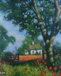 Cotswold Poppies - Donald Ayres