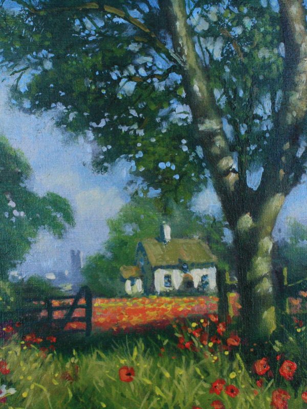 Cotswold Poppies - Donald Ayres