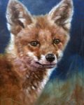 Foxy Fox by John Trickett
