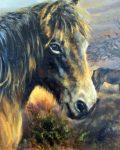 Lovely Exmoor Ponies by Mick Causton