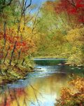 Reflections of Autumn by Terry Evans