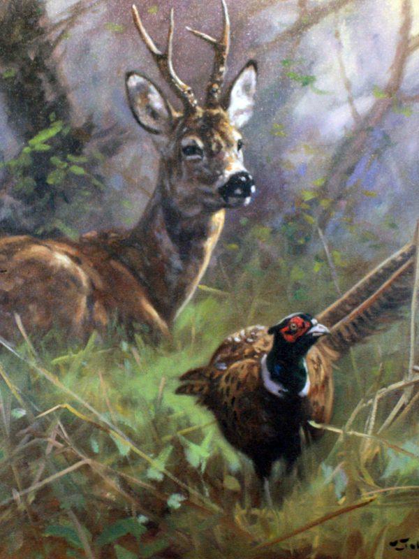 Roe and Pheasant by John Trickett