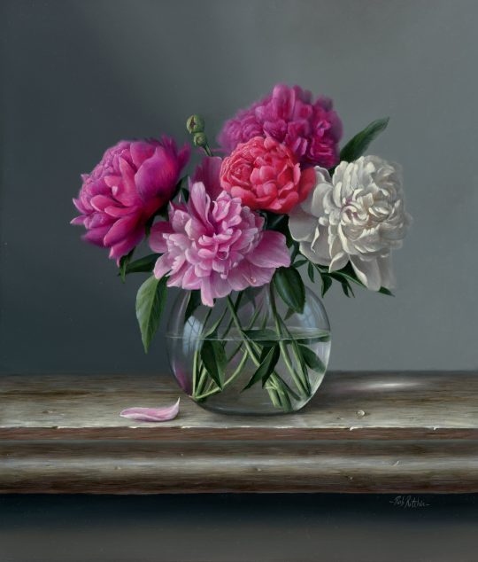 Peonies by Rob Ritchie