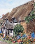 Cotswold Cottage by Glyn Martin