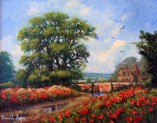 Cotswold Poppies by Donald Ayres