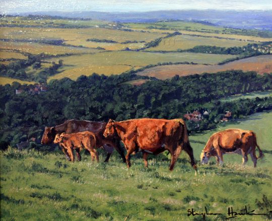 Hillside Pastures by Stephen Hawkins