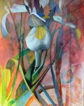 Irises by Julia Sorrell RI