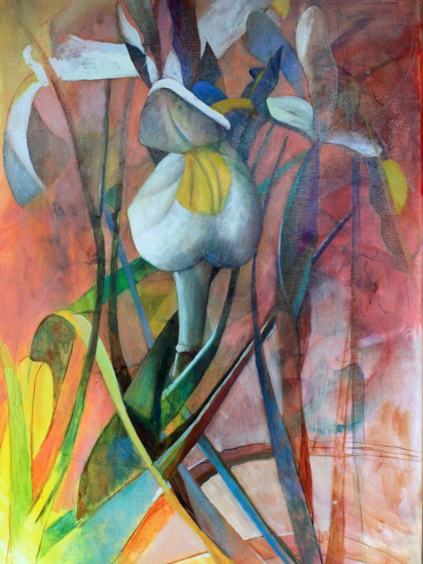 Irises by Julia Sorrell RI