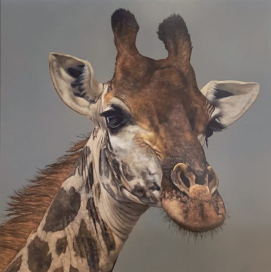 Geoffrey the giraffe by Stephen Park 2