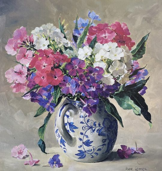 Phloxes by Anne Cotterill