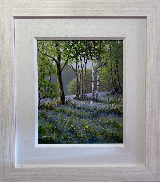 Bluebell Forest by Terence Grundy