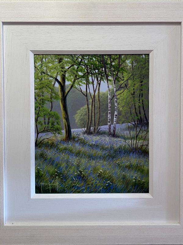 Bluebell Forest by Terence Grundy