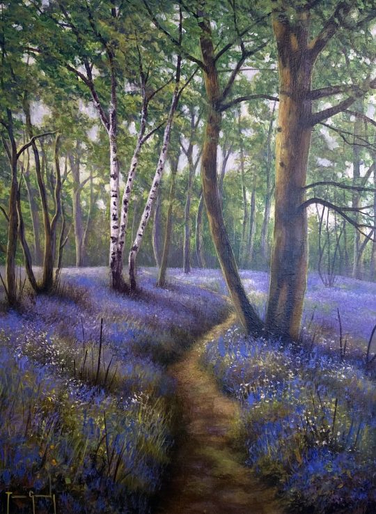 Along the Bluebell Path by Terence Grundy