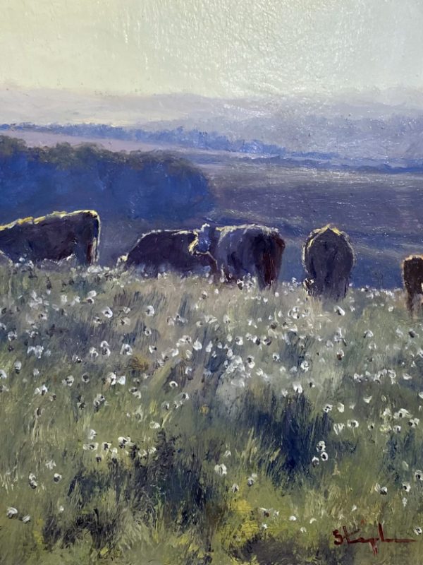 Summer Meadow Grazing by Stephen Hawkins