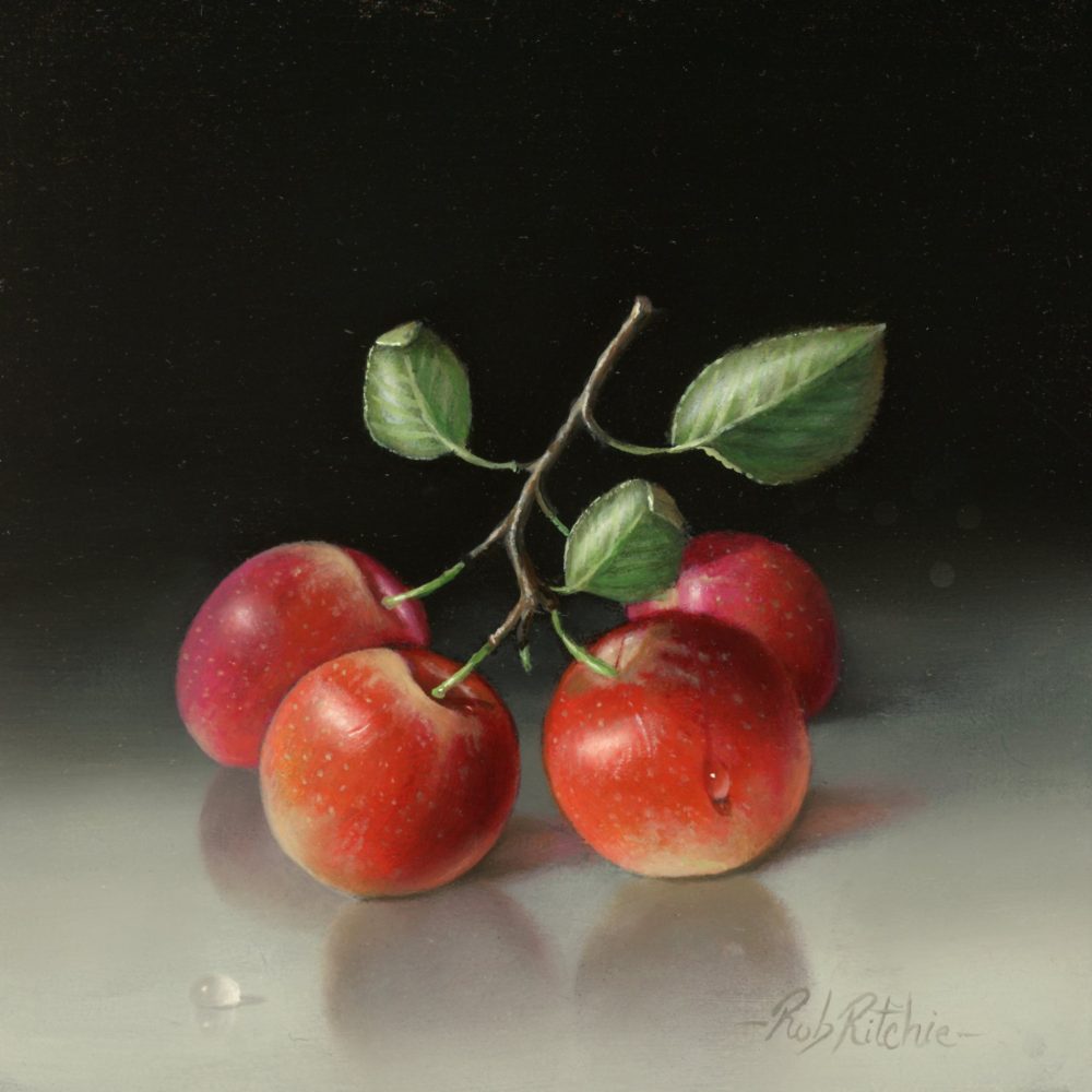 Crab Apples is a stunning still life original painting the talented artist Rob Ritchie