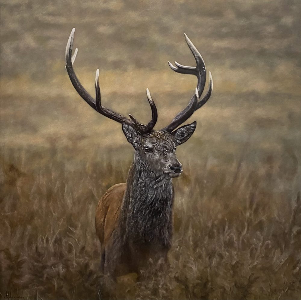 Exmoor Red Stag by Stephen Parks